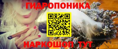 стаф Кулебаки