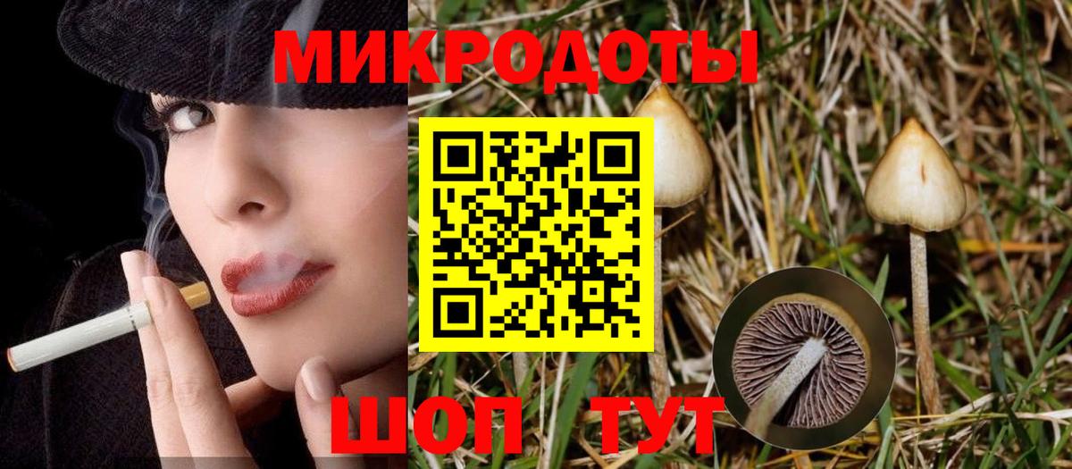 купить  цена  Галлюциногенные грибы Magic Shrooms  Вход с VPN  Ивантеевка  Галлюциногенные грибы Psilocybine cubensis 